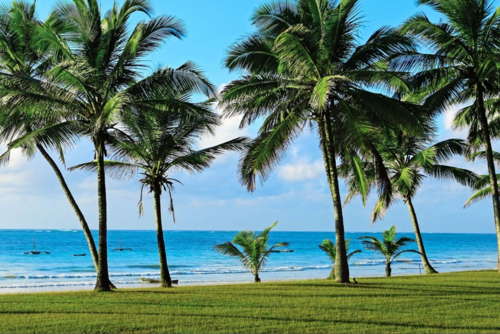 Diani Beach on Kenya's coast