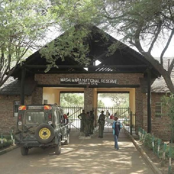 Maasai Mara Big Five Safari - Kenya Wildlife Tour