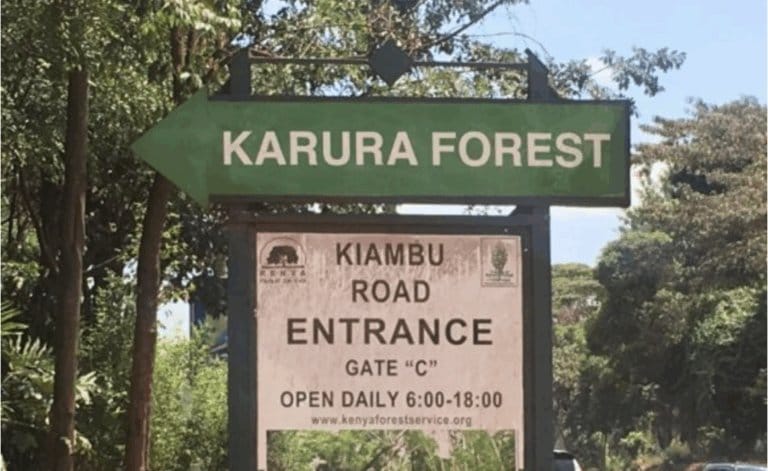 whatsapp image 2025 12 16 at 20.12.35