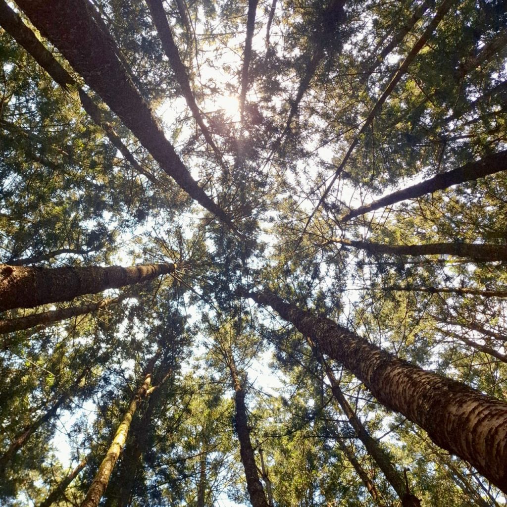 whatsapp image 2025 12 16 at 20.12.38