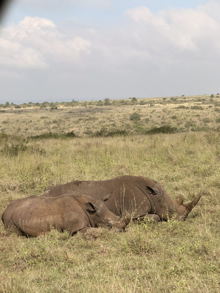 Discover Nairobi: A Complete Travel Guide to Kenya’s Capital img 0903