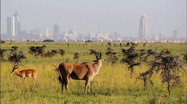 Discover Nairobi: A Complete Travel Guide to Kenya’s Capital img 0904